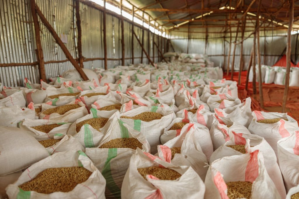O número marca o segundo melhor desempenho já registrado na história do agronegócio, reflexo da diversificação de mercados adotadas pelo Brasil.