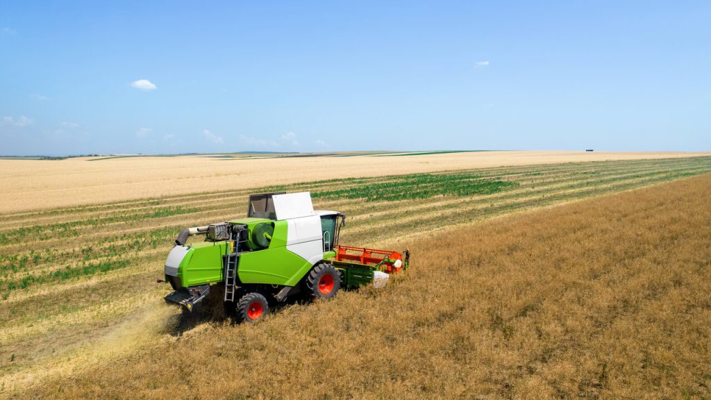 Entre os segmentos que mais contribuíram para o avanço da economia, foi a agropecuária, que cresceu expressivos 12,2% no período.
